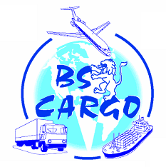 BS Cargo srl logo