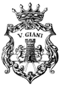 M.A.G. Italia di Giani e C Srl logo
