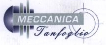 Meccanica Tanfoglio di Tanfoglio Pietro e C. snc logo