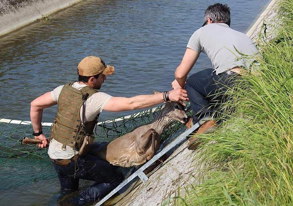 Corso Recupero e Cattura fauna selvatica