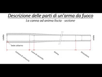 Balistica parti della canna