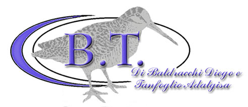 B.T. di Baldracchi Diego e C. snc logo