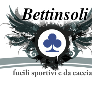 Bettinsoli Tarcisio srl logo